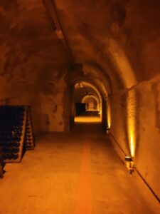 Jeudi - Visite des caves Mumm